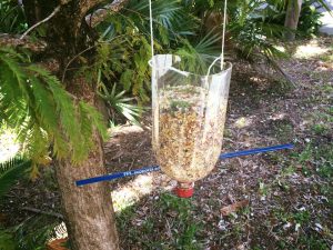 Participants created six bird feeders made out of discarded pencils, twine and two-liter bottles, and hung them throughout Live Like Bella Park.